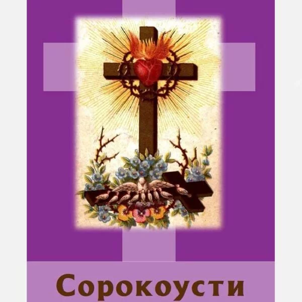 Сорокоусти
